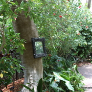 Key_west_154_card