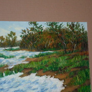 Sam_0320_card