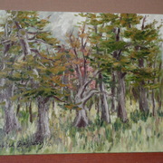 Sam_0322_card