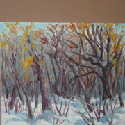 Sam_0328_card