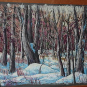 Sam_0376_card