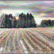 Farm-4048_card