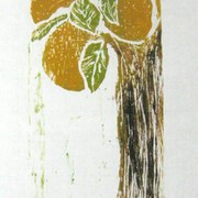 Img_1113_card