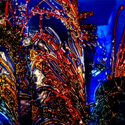 New_garden_blue_card