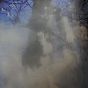 Storm_tree_card