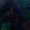 V_krajine_thumb