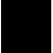 C-13_card