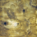 Dsc_5741_017_square