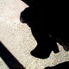 100_6619_thumb