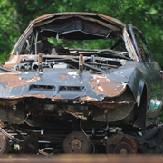 Dsc_7196_card