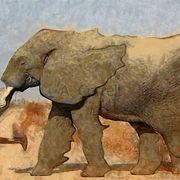 Evolution_in_motion_part_3_card