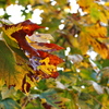 Img_1543_thumb