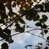 Img_1561_thumb