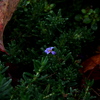 Img_1563_thumb