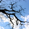 Img_4185_thumb