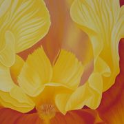 Iris_honigcreme2_card