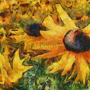 Where_the_flowers_grow_card