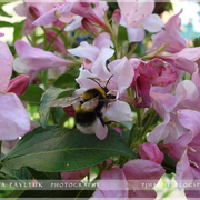 Dsc02842_card