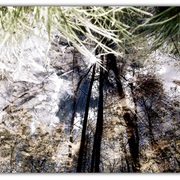 Untitled-1_card