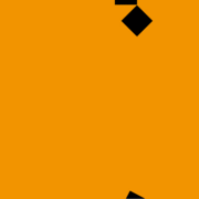 C-22_card