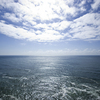 Ocean1_thumb