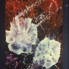 Firmament__19_thumb