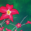 Red_flowers_with_green_back_thumb