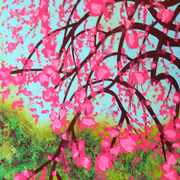 Pink_flowering_tree_card