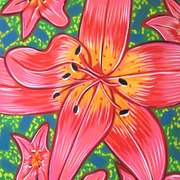 Dancing_poinsetta_card