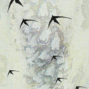 Sparrows_101___or_in_our_seperateness_we_are_one_card