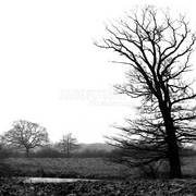 Before-spring_card