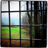 Window_thumb