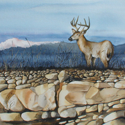 Buck3_copy_card