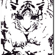 Big_cat_45