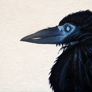 Enter_crow_-_oil___mixed_media_on_board_12x18inches_june_2011_card