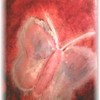 Beauty_in_flight_thumb