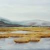 Swampland_3_thumb