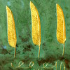 _2092666_thumb