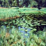 Dewdrops_card