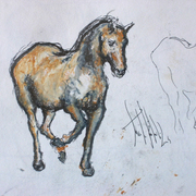 Cavallo_copia_card