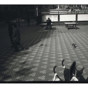 At_dongfalijia_card
