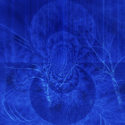 ______3564-3_card