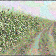 Farm-1042_card