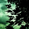013_thumb