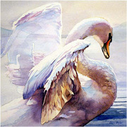 303_jw_card