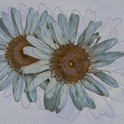 Summer_blues_card