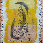Obs_cration_n__6_card