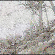 Landscapes-0205720_card