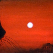 Notturno-romano_card