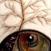 Dscf4063_card